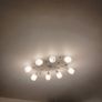Ceiling Light Image 3