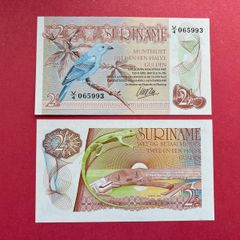 Suriname  2 1/2  Gulden   1985  ( uncirculated )