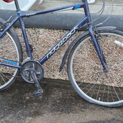 ridgeback bikes