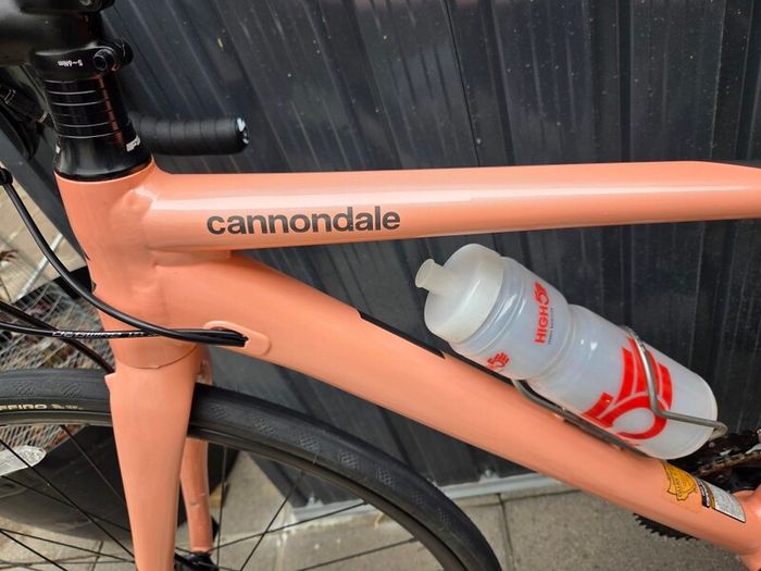 ladies bike