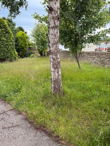lawn mover