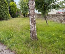 lawn mover