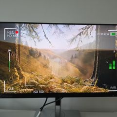 monitor