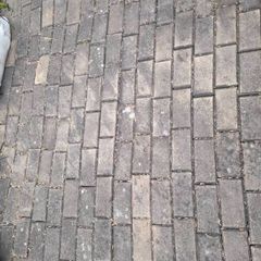 300 Yellow Bricks - Only 300