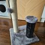 Scratching Post & Interactive Puzzle Image 2