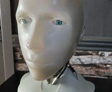 iRobot sunny bust