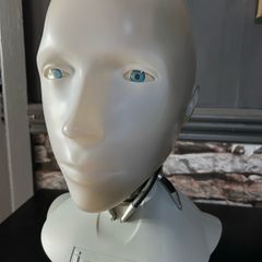iRobot sunny bust