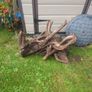 Fish Tank Drift Wood Image 2
