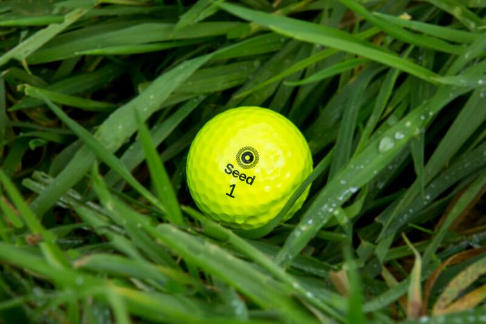 Jj's Cork Golf Balls - Seed Sale