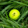 Jj's Cork Golf Balls - Seed Sale Image 3