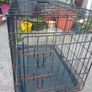 Small dog crate Image 5