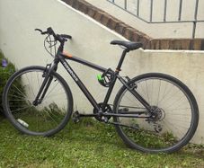 Ridgeback Dimension 26inch