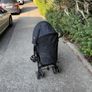 buggy Image 3