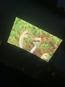 moniter