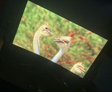 moniter