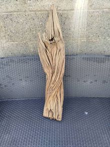 Driftwood