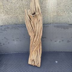 Driftwood
