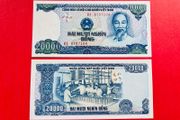 Viet Nam   20,000    Dong. 1991   Unc PICK  110a   )