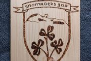 Gaa crest