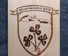 Gaa crest
