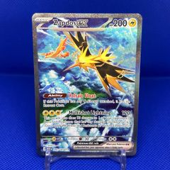 Zapdos ex 202/165