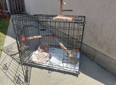 Bird cage