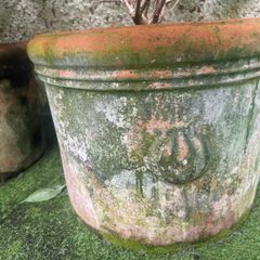 Two Large Terracotta Garden Flower Pots