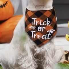 Halloween Decorations
