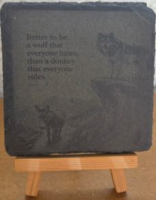 Wild & Wise Slate Coasters