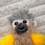 Nature Planet Re-pets Plush Monkey Hanging Yellow approx. 25 cm. Used Please see photos Image 3