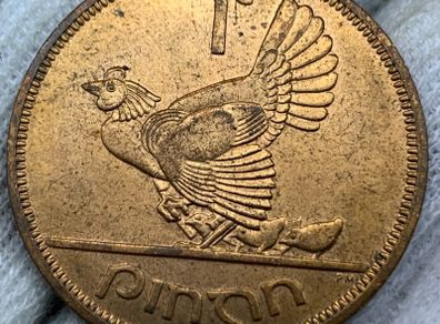 Ireland 1965 penny red uncirculated lustrous