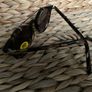 Sunglasses over the frame ace&tate brand new women's Image 9