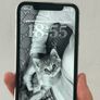 iPhone 11 64GB White -Unlocked + 3 Cases Image 6