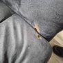 Couch Image 4