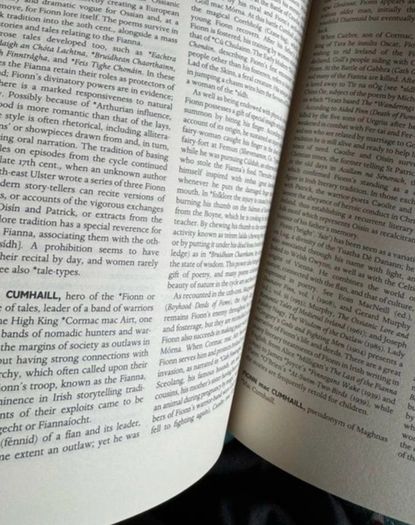 The Oxford Companion to Irish Literature