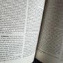 The Oxford Companion to Irish Literature Image 2