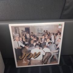 Idles - Joy As An Act of Resistance Vinyl