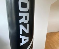 Boxing bag and gloves