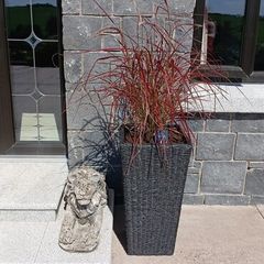 Jysk garden planters