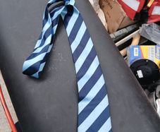Dublin gaa coloured tie