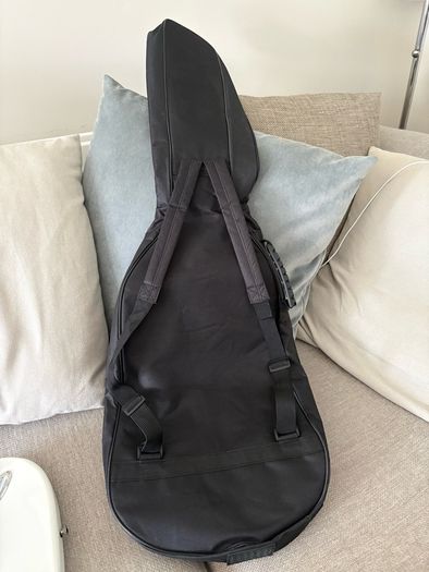 electric guitar for sale with carry case.
