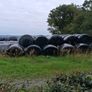 Round bales silage Image 2