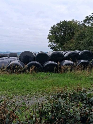 Round bales silage