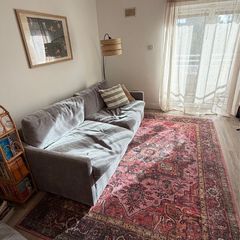 Oriental Rug