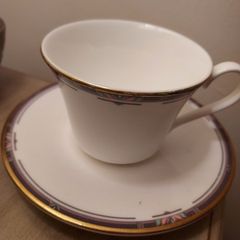 Royal Doulton  Musicale Cup & Saucer