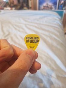 Jaret Reddick Bowling For Soup Guitar Plectrum