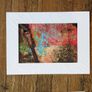 30cm x 40cm prints Image 10