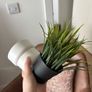 Artificial plant and pot Image 2