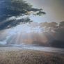 large framed William Vanscoy print Image 2