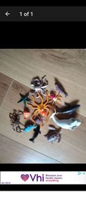 sea animals